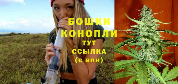 мдпв Богородицк