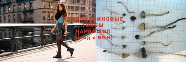 мдпв Богородицк